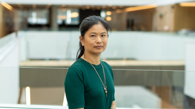 Profilbillede af Mai Tram Luu, Seniorerhvervsrådgiver